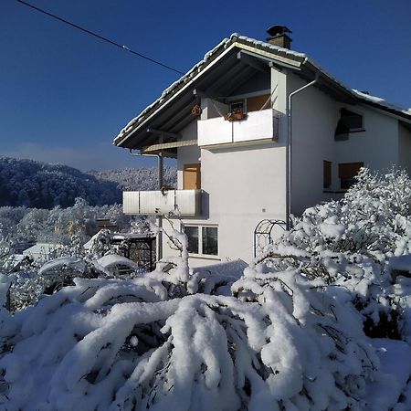 Blick Ins Wutachtal Apartment Wutoschingen Exterior photo